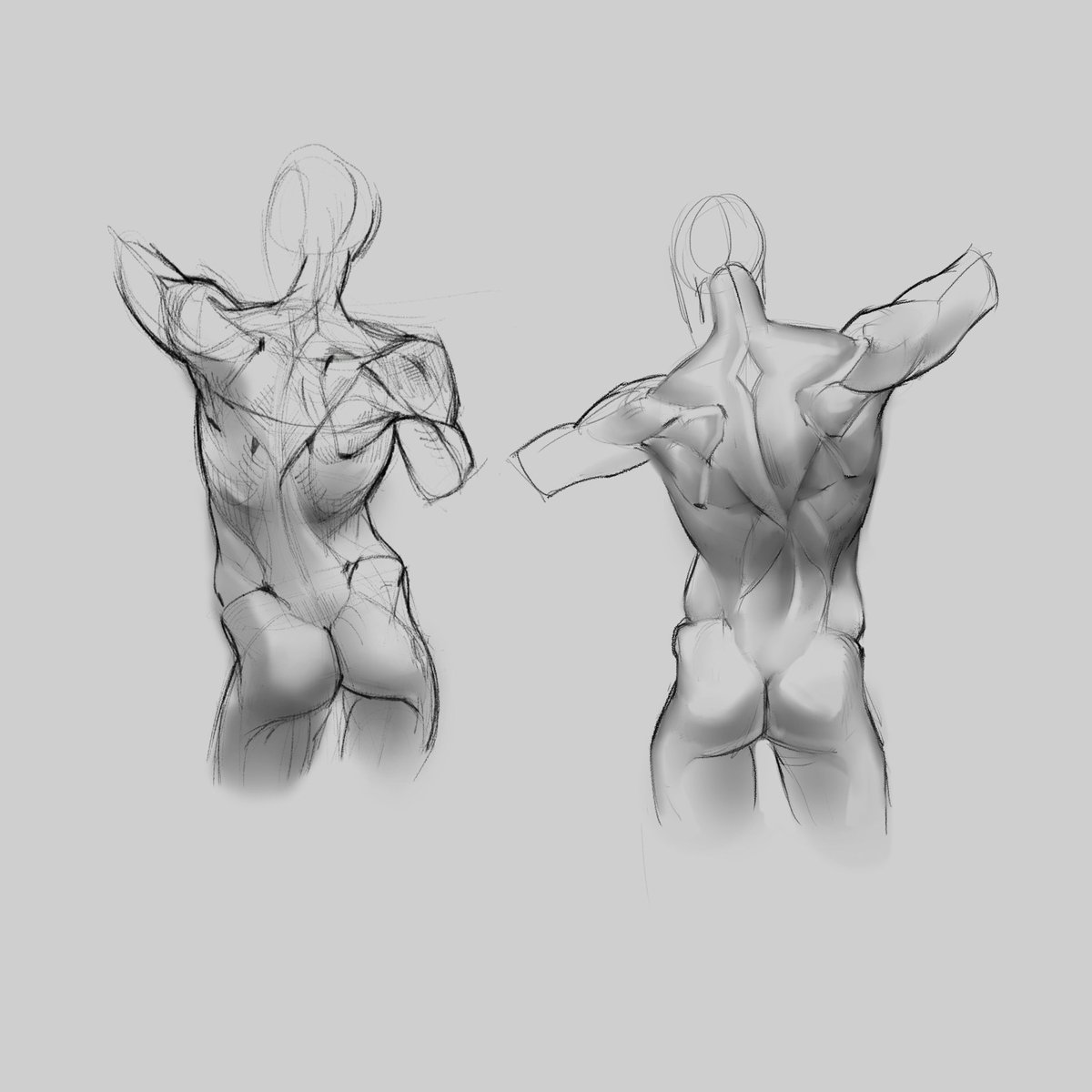 S3Pater's tweet photo. #NFTartist #anatomy 

Hello #NFTCommunity ! I believe that you can improve you skills studing anatomy. After anatomy course it's easy to draw figure. https://t.co/XTl7V3Lp5d