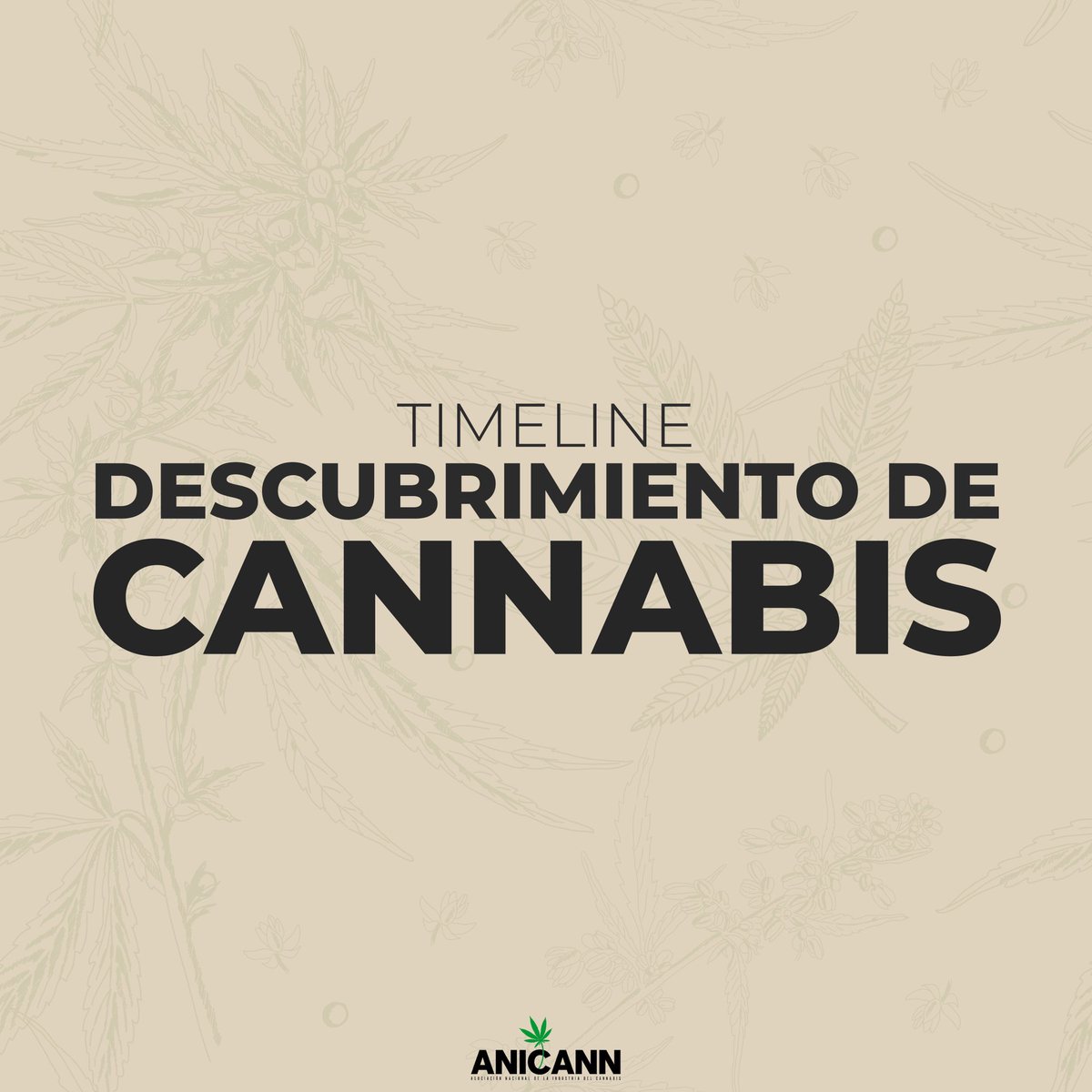 anicannmx's tweet photo. ¿Conoces desde cuándo existe el cannabis en México? 🤔 Dale swipe para descubrir sus avances y acontecimientos desde el siglo XVI. 🌱👉

📩 No te pierdas de ninguna noticia, suscríbete a nuestro Newsletter semanal https://t.co/3NvJWhUktI