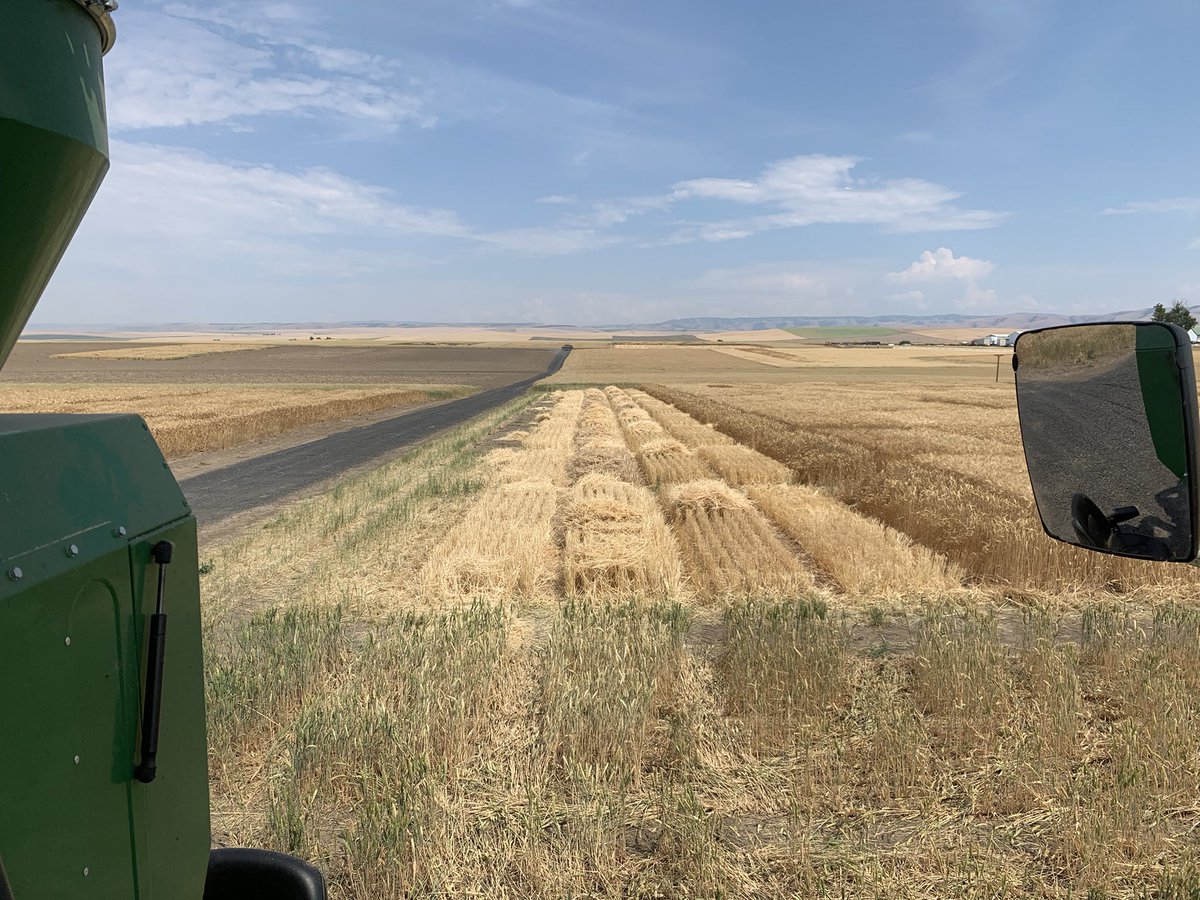 Ryan Graebner tweet media