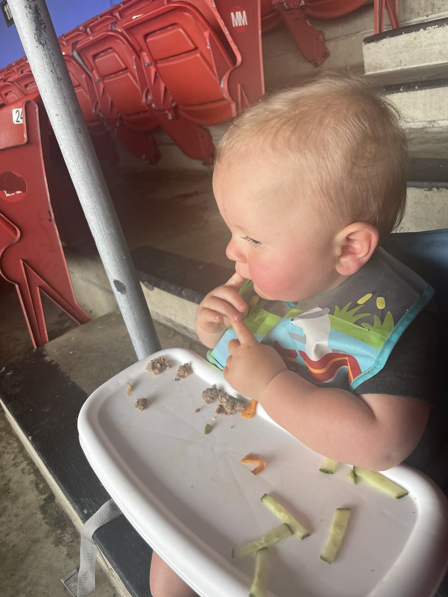 Mnolan1111's tweet photo. Showing Little Man the ropes…with a little day game action. #firstmlbgame #americaspasttime #futurestud @BlueJays @WNYProspects https://t.co/G0apLku2on