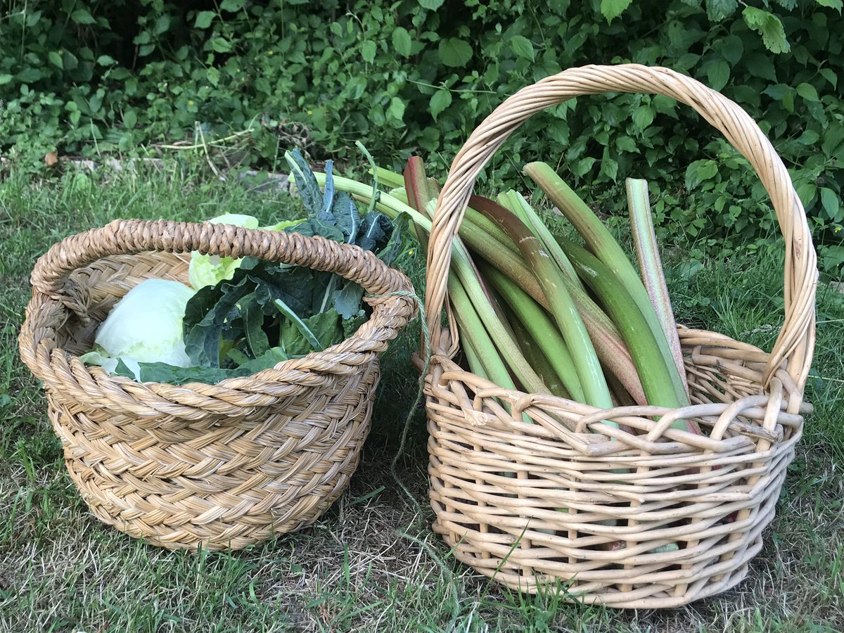 branch_root's tweet photo. A very good day ! Positive project discussions with new schools , another keyhole garden done ✅ and some gifted produce from a neighbour and Ryhall Academy for our community fridges😊
#keyholegarden
#sendacow
#foodabundance
#rutlandcommunityfridges
#ryhallacademy https://t.co/7H5CXMfz6i