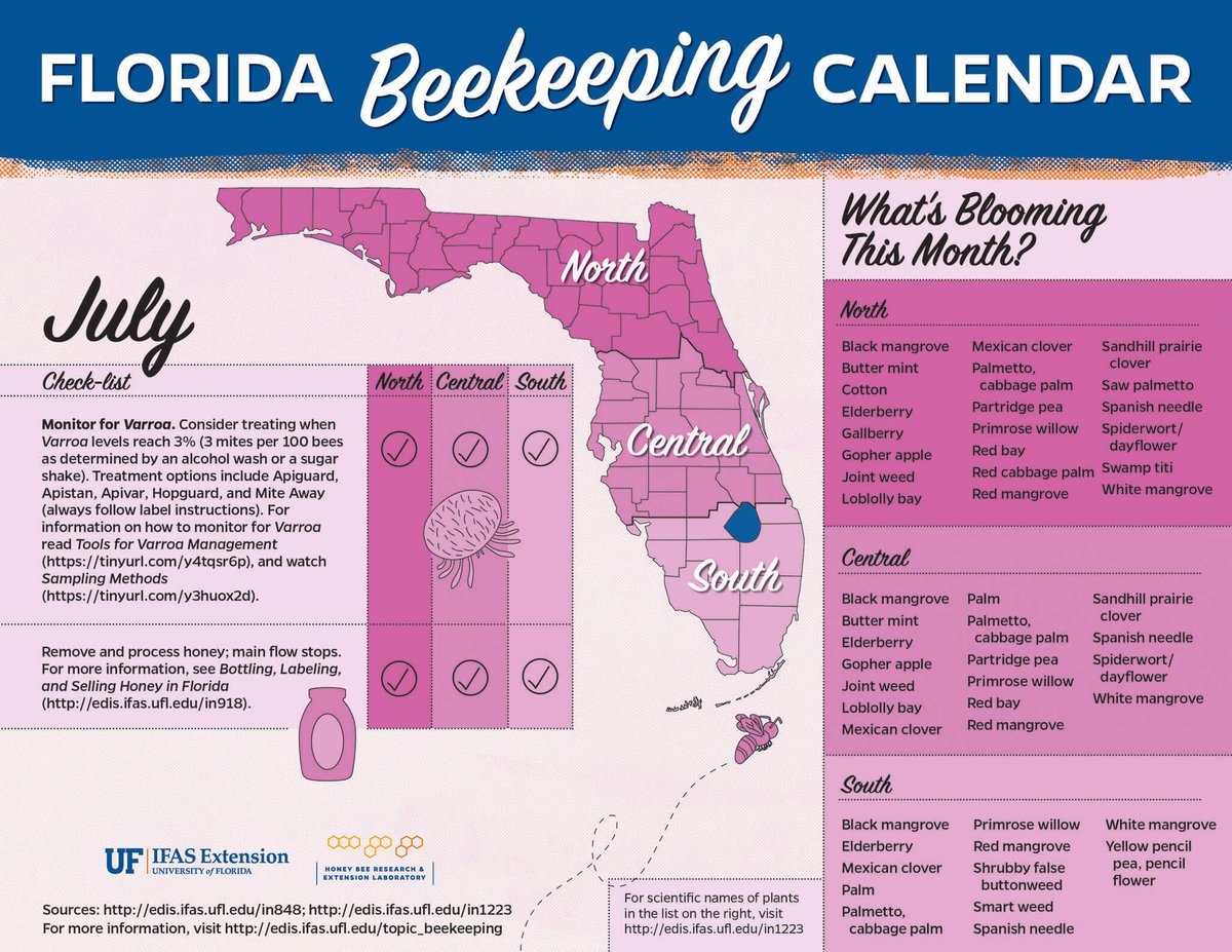 Uf Ifas Entomology Ufentomology Twitter Uf Summer A Calendar
