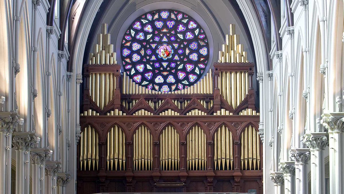 A look at some inner workings of the Cathedral’s 1875 pipe organ! The Andover Organ Co. has begun a modest, but important restoration project on two of the Great windchests. 

Not to worry, you will still hear the organ at Mass while the work is ongoing!
