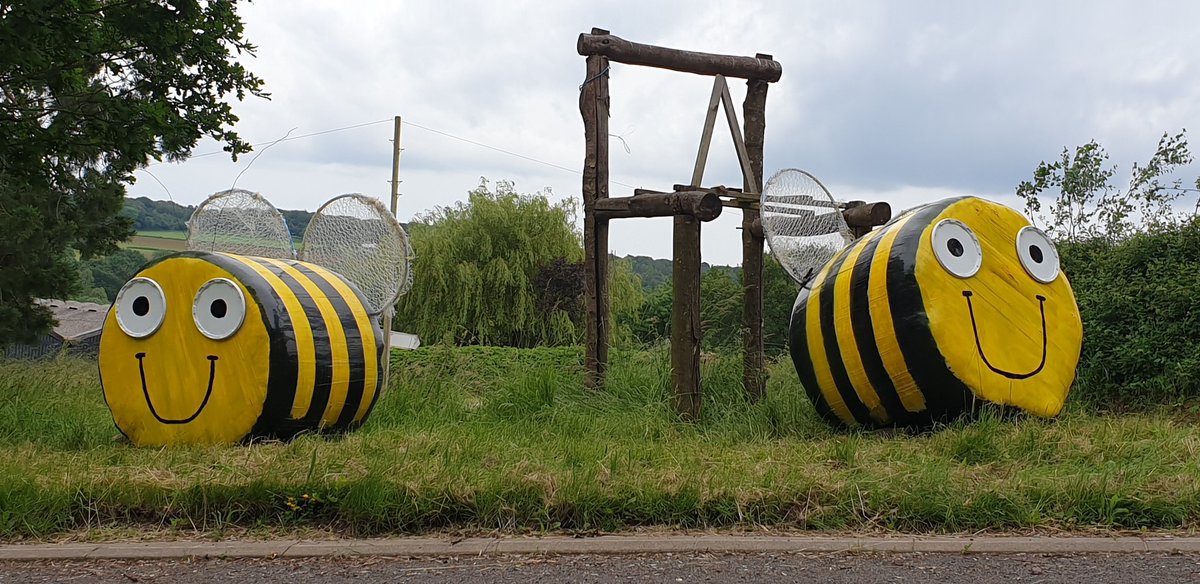 Dryslade's tweet photo. #bees @Dryslade #summer #farmstayuk #deanwye #visitbritain #redtractorfoods #backbritishfarming #fun https://t.co/V2Mv6EJzxx