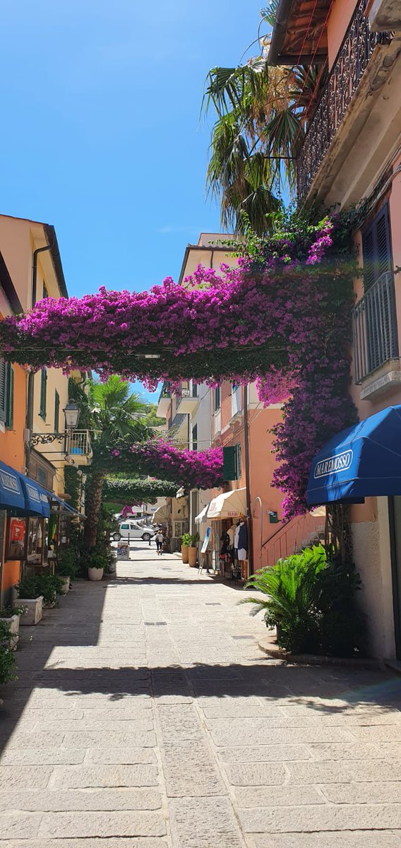 Scorci da Porto Azzurro ... #elba #bouganville #Tuscany #tuscanviews
