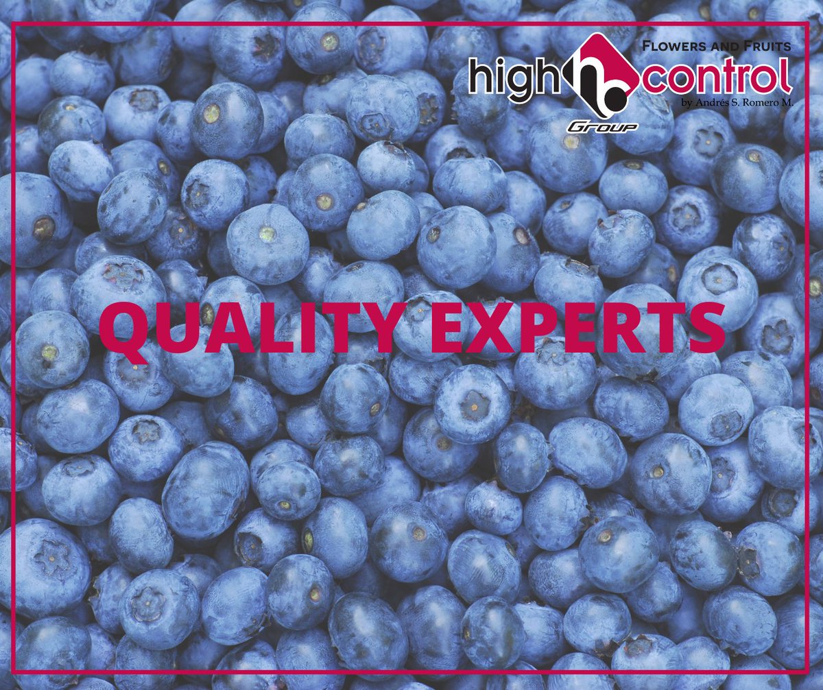 highcontrol's tweet image. We love blueberries. Of course, always with the best quality. Use quality products!

#highcontrol #qualitycontrol #bestquality #ecuador #colombia #usa #fruits #tropicalfruits #instafruits #summerfruits #redfruits #fruitsartclub #freshfruits