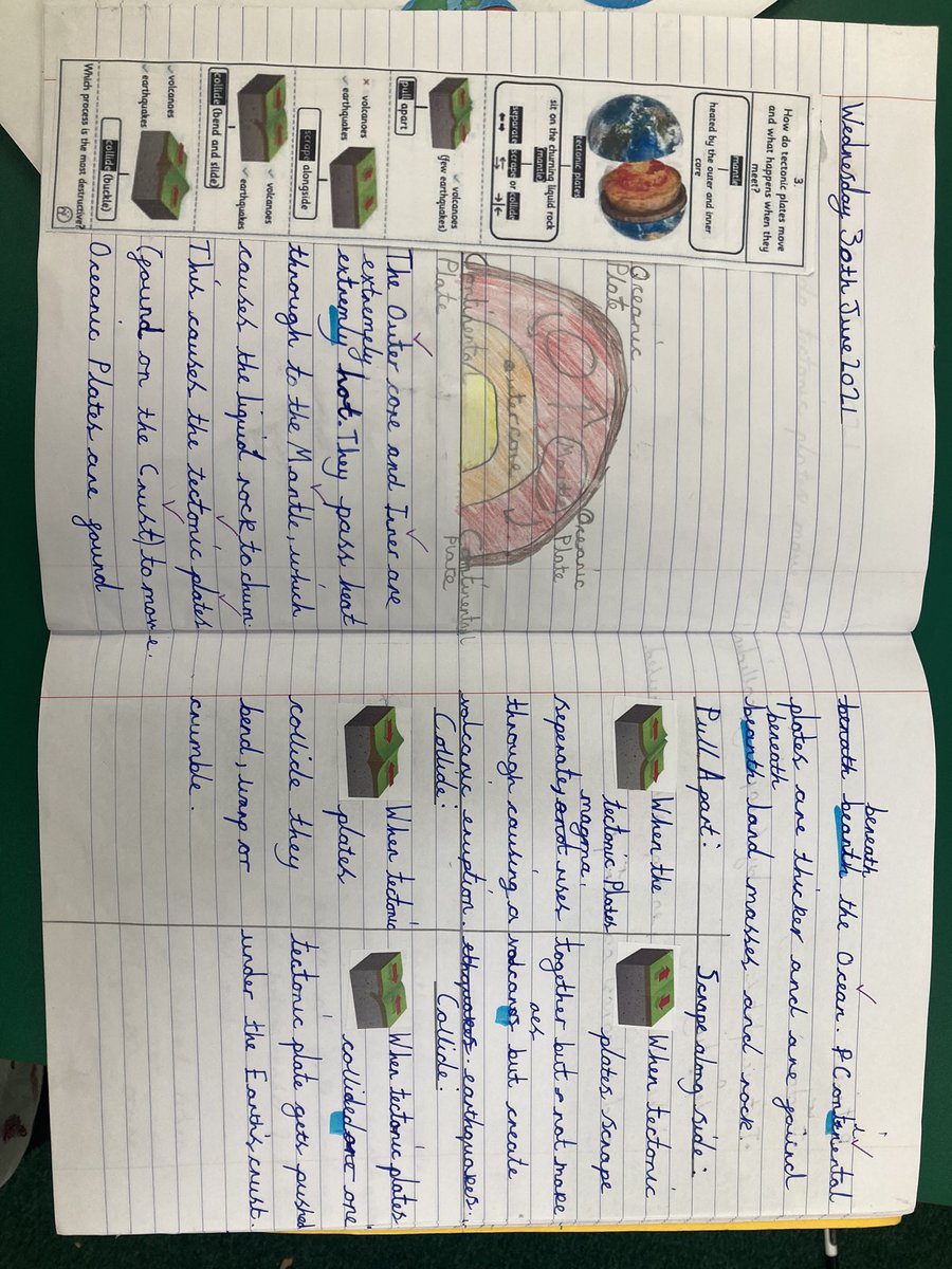 Timbertree Year 6 tweet media