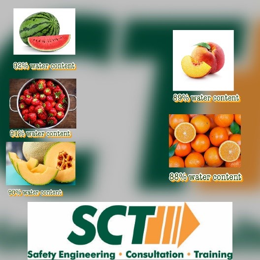 SafetyControls1's tweet image. Rethink your Snacks! Sick of drinking water? Want to spice up your hydration? These are the top five fruits for water content! Which one will you try today?