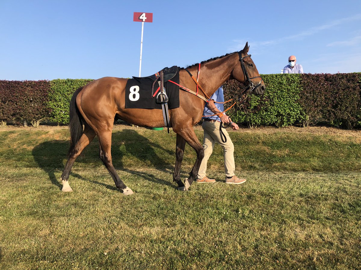 ✨Best Turned Out✨

Big thanks to <a href="/glensidehotel/">The Glenside Hotel</a> for sponsoring the BTO prize for all races here this evening on Day 1 of the July Festival 🤩