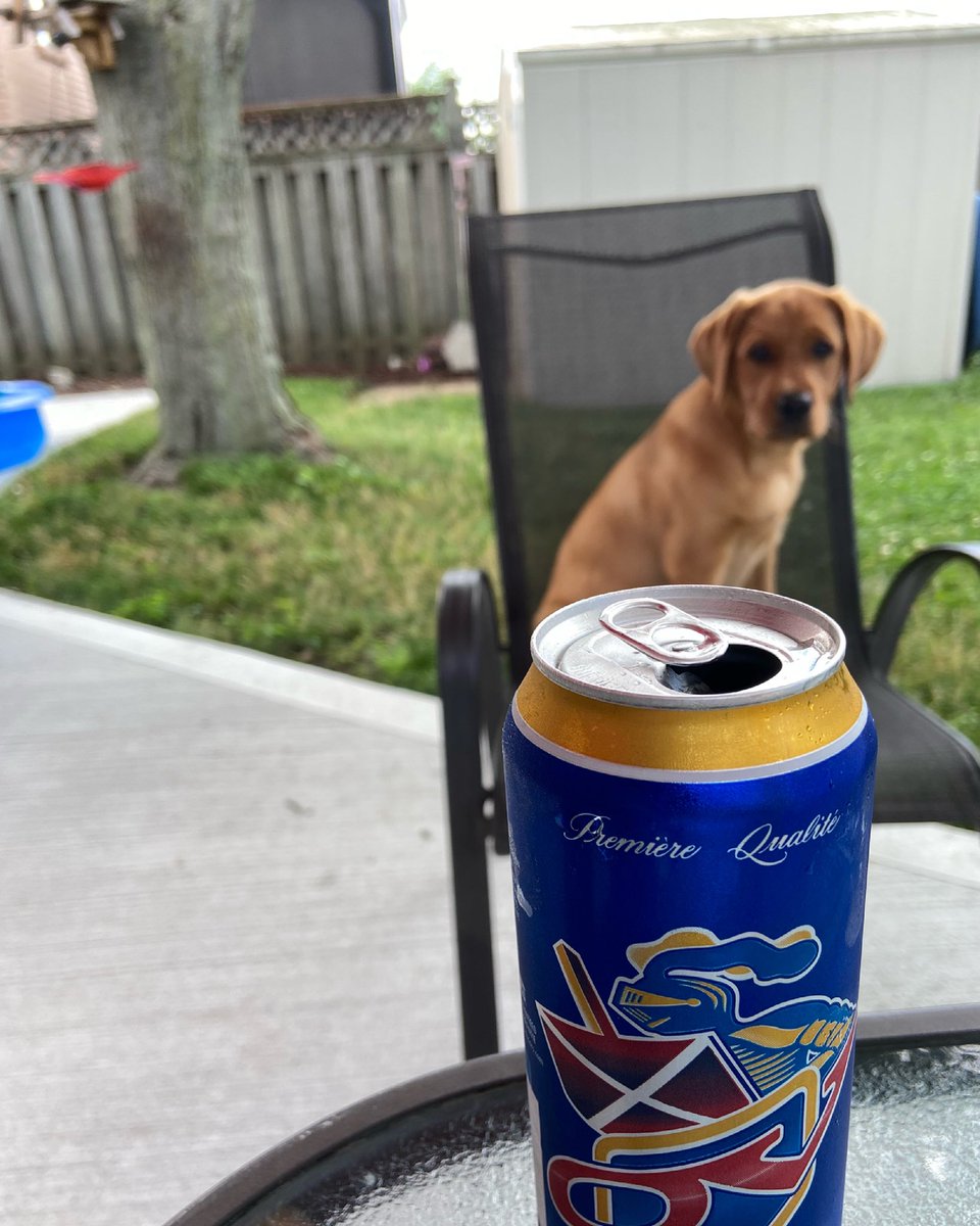 rnrgrl9's tweet photo. Cheers to the long weekend @OVBeer @justsayov #redfoxlab https://t.co/peG6j7qZzx