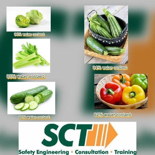 SafetyControls1's tweet image. Rethink your Snacks! Sick of drinking water? Want to spice up your hydration? These are the top five vegetables for water content! Which one will you try today?