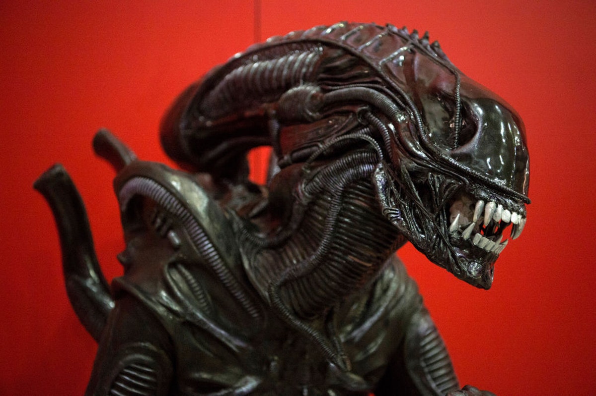 Daily Wire tweet media