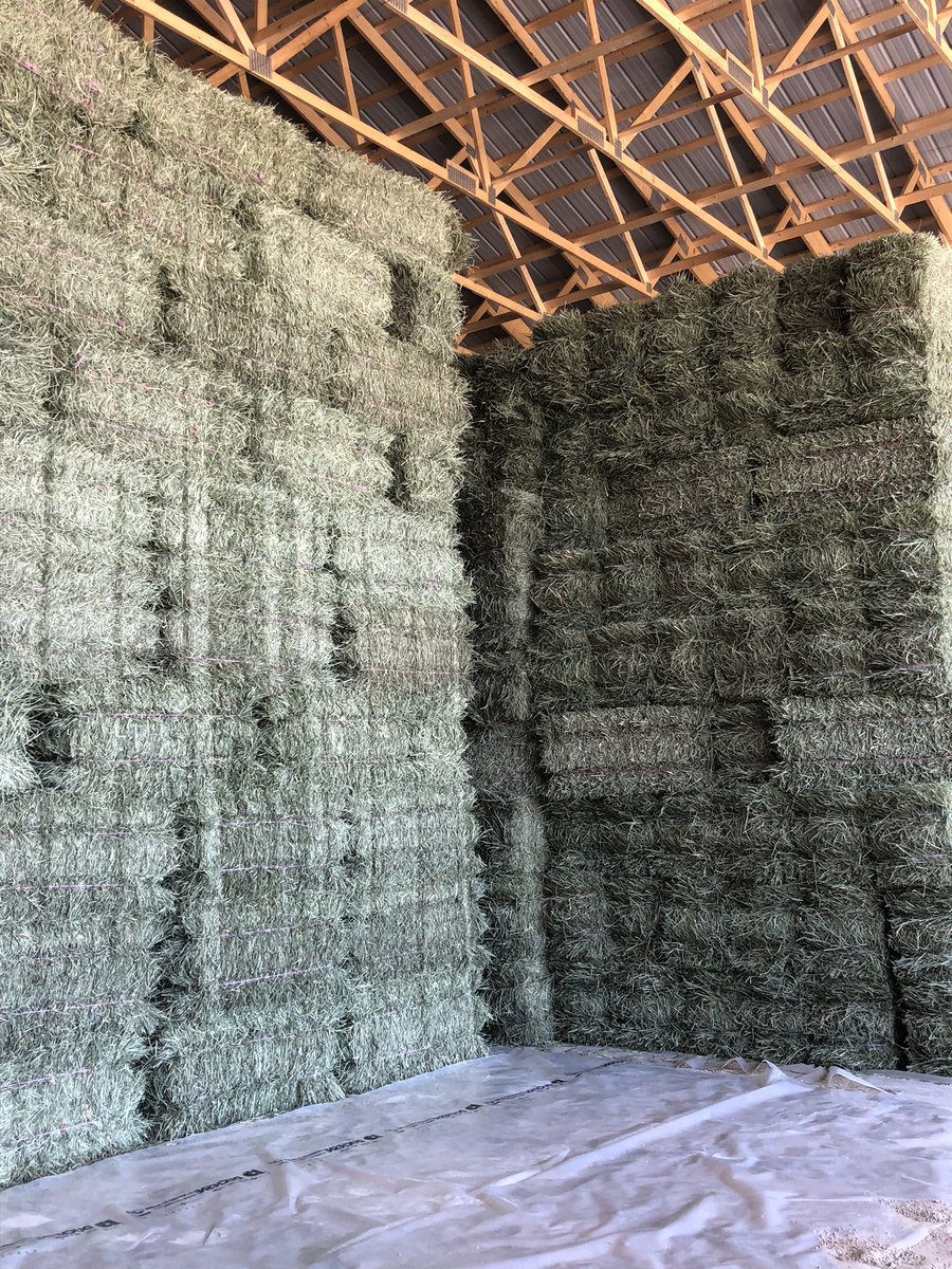 Chad Smith tweet media