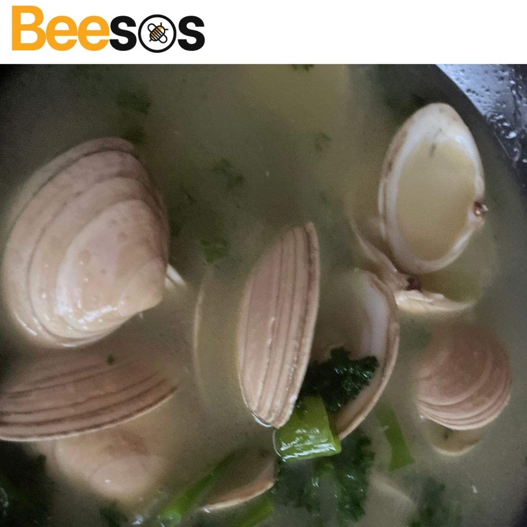 beesosapp's tweet photo. Asi fue el resultado del tutorial #Almejas #Beesos Hubo ocasiones a lo largo de los años cuando la vida no era fácil, pero si trabajas unas cuantas horas al día, tienes un buen libro para leer y puedes salir a la playa a buscar almejas, estás bien. 

https://t.co/oQjgZjwWM6 https://t.co/oFeT5Ecld0