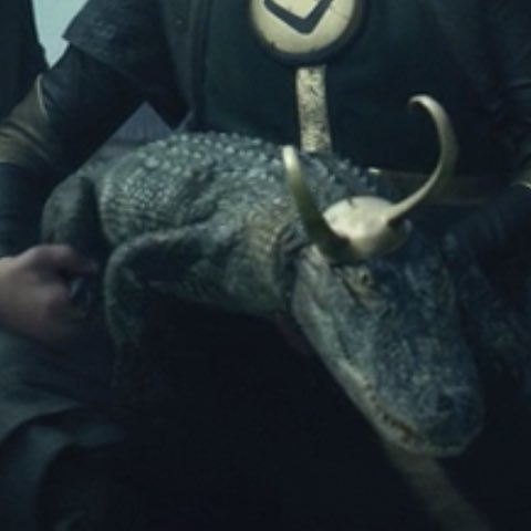 RT @quake_romanova: i present to you croki and cror #loki #thor https://t.co/ZvAWoBaVxv