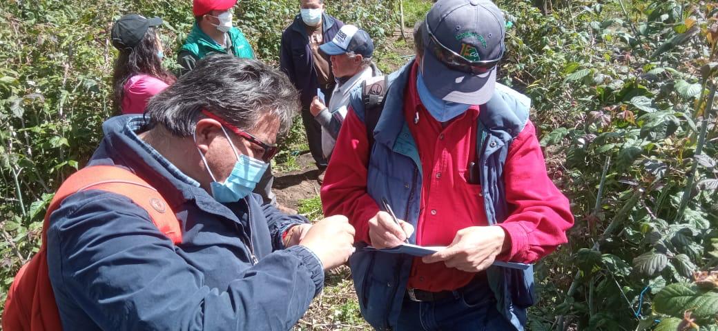 AgriculturaEc's tweet photo. #Tungurahua | ¡Impulsamos la creación de #EmprendimientosRurales! 22 productores de #mora de la Asociación @MoraAsoprocamor de #Tisaleo, son acompañados por el Proyecto #Dinaminga en procesos de comercialización así como emprendimientos de elaboración de vino. https://t.co/NnMLPiCQ6f