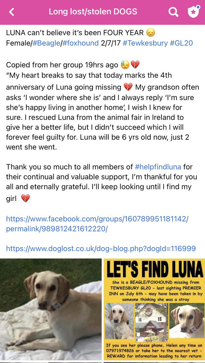 rosiedoc666's tweet photo. #LetsfindLuna Still missing 2/7/17
FOUR YEARS AGO
LUNAS family had rescued her from a fair in #Ireland
#Beagle/#foxhound SHE WILL BE SIX NOW
Her family have posted on FB today. WHERE ARE YOU LUNA 😞💔
https://t.co/FbCJZdGfl8
@DogsofTooting @HunnyJax @gelert01 @RachaelB100 https://t.co/9VsvgRkoW2