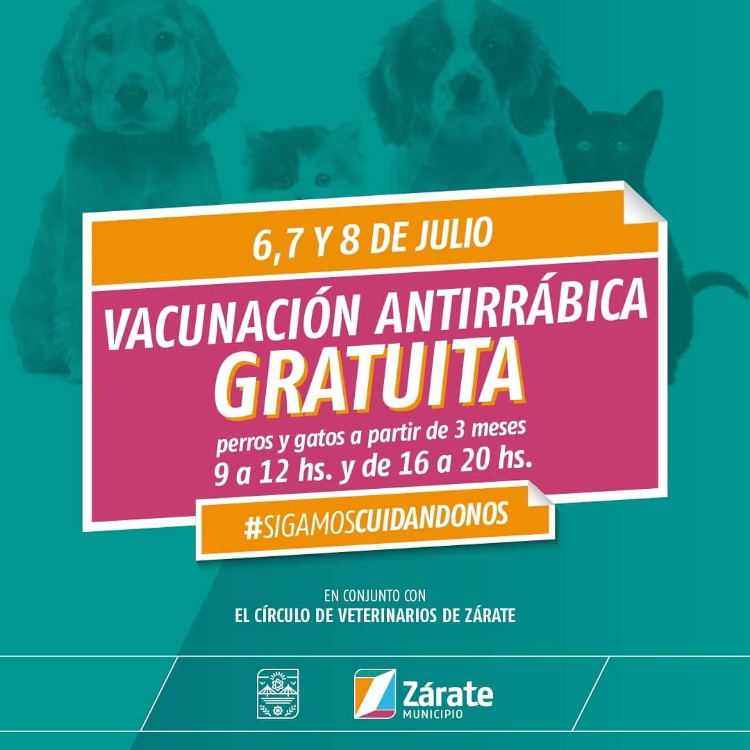 MuniZARATE's tweet photo. #Salud 🥼 | Vacunación antirrábica gratuita para perros y gatos a partir de 3 meses 🐕🐈

🏘️👀 Mirá el listado de veterinarias disponibles y acercate con tu mascota el martes 6, miércoles 7 o jueves 8 de julio de 9 a 12 hs. y de 16 a 20 hs. https://t.co/O5XrDcOxu7