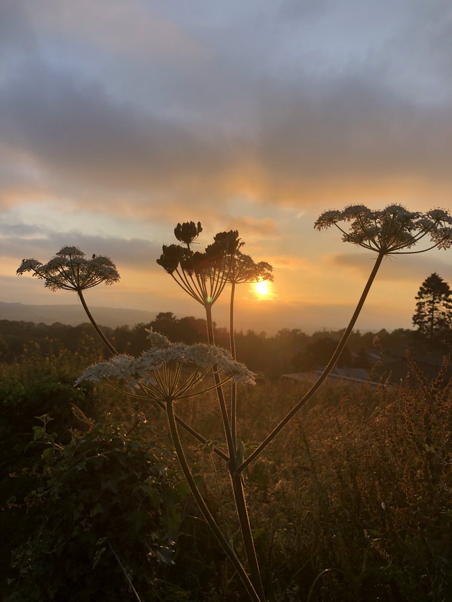 Rob Lock tweet media