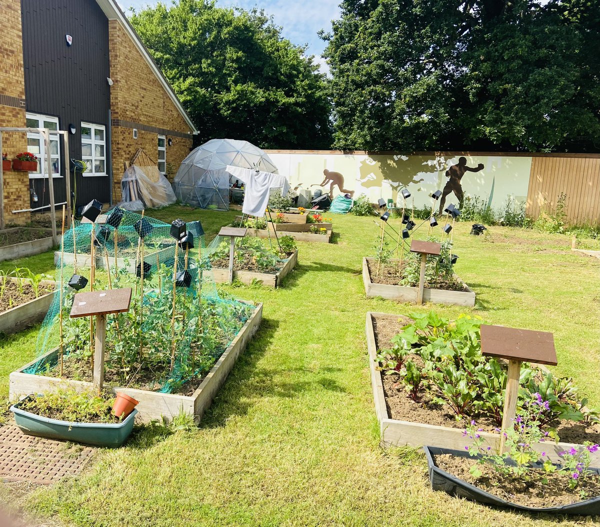 The garden area at the Centre is looking good after hard work from staff and students #HomeGrownProduce #QuietPlace #PeaceOfMind #Vegetables #ThisIsAP
