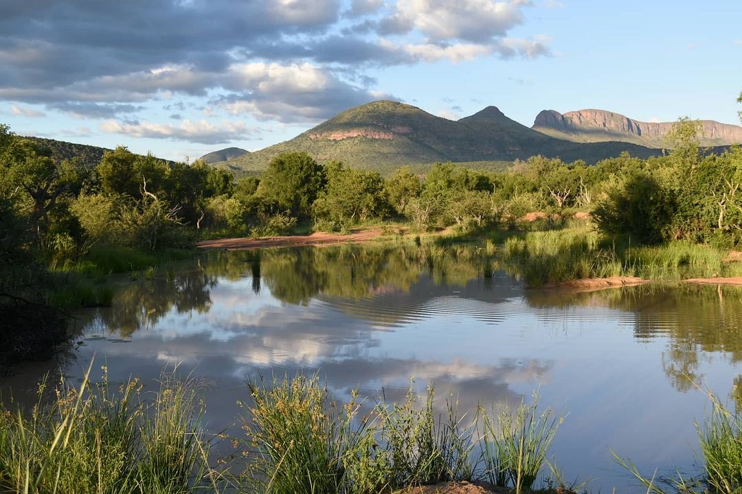 SANParks's tweet photo. Picture of the day 📸 Morne Carsten 📍#MarakeleNationalPark #LiveYourWild #SANParks https://t.co/2pQfvp8Eoe