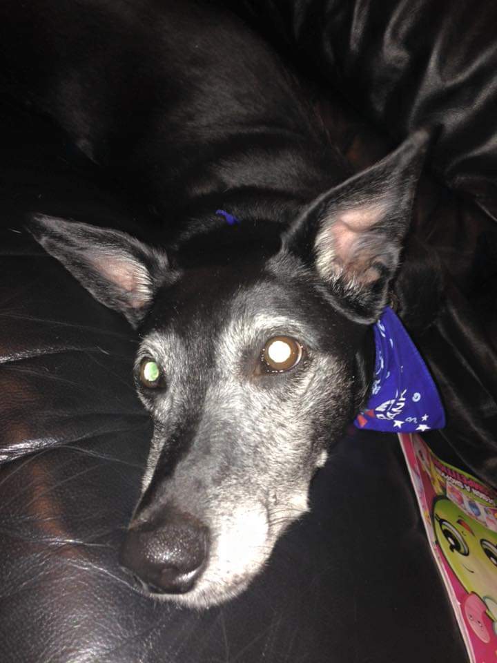 That 80s Mum tweet media