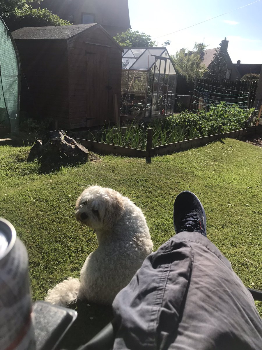 Few tunes and 🍺 in garden tonight 👌