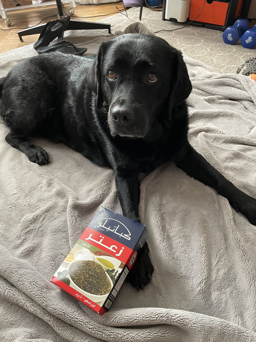 Eat Drink Draw tweet media