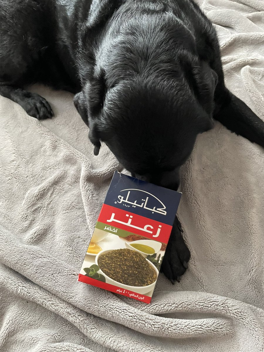 Eat Drink Draw tweet media