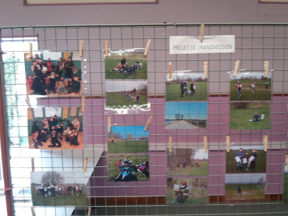 #ecoledemouzay #ateliersmedicis #creationencours TER Stenay. Restitution aux familles de la résidence d'artiste à l'école de Mouzay. Félicitations à l'artiste, aux professeurs et aux élèves. Merci aux collectivités qui ont soutenu le projet.