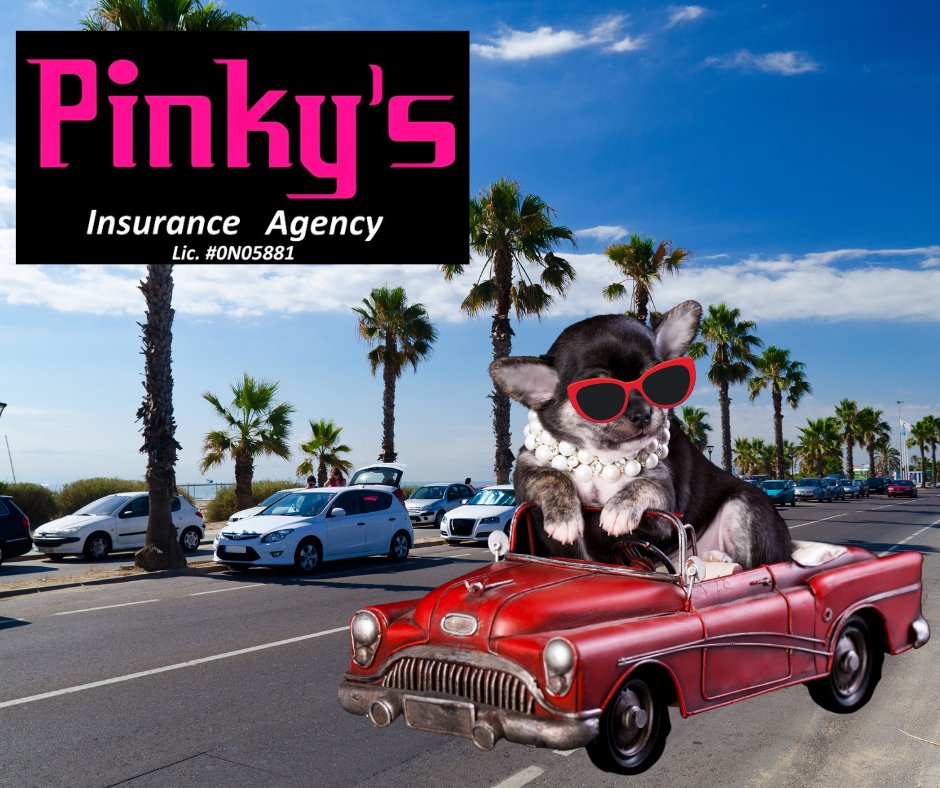 PinkysInsAgency's tweet image. Cruise on down to savings at Pinky's Insurance Agency. Call for a  FREE Quote ! Tel : (805)586-3399

Navegue hasta los ahorros en Pinky's Insurance Agency. Llame para un presupuesto GRATUITO ! Tel: (805)586-3399
#summersavings #ahorrosdeverano #pinkys #verano #summer