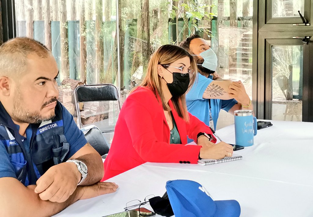 Gabyvazquezch's tweet photo. 📌 Dando seguimiento a la planeación de trabajos que se llevarán a cabo en el tema de acondicionamiento de las áreas verdes, hoy tuvimos mesa de trabajo para trazar la ruta a seguir en esta recuperación de estos espacios.
#GenerandoVamos por nuestro medio ambiente. 🙋♀️🌳 https://t.co/NhfHEu4bdK