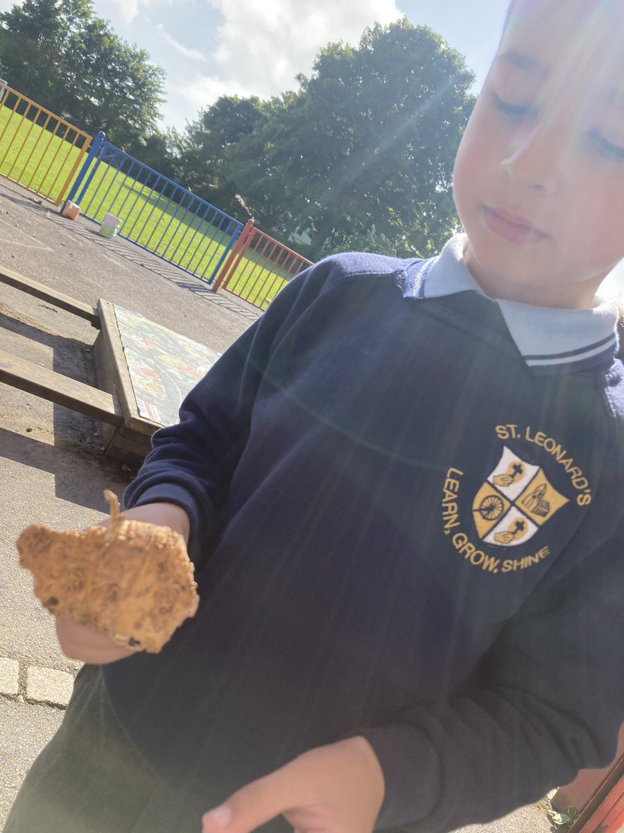 St_Leonards_RC's tweet photo. Acorn and Maple caught up in Dino fever today! Lots of excitement searching for clues. We found teeth, measured footprints, and felt Dino skin. We were inspired to draw and label our own pictures of the dinosaur! #stleonardsacorn #stleonardsmaple #characteristicsofeffectivearning https://t.co/SQOGao82YK