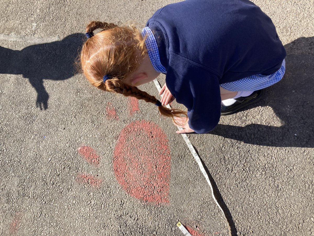St_Leonards_RC's tweet photo. Acorn and Maple caught up in Dino fever today! Lots of excitement searching for clues. We found teeth, measured footprints, and felt Dino skin. We were inspired to draw and label our own pictures of the dinosaur! #stleonardsacorn #stleonardsmaple #characteristicsofeffectivearning https://t.co/SQOGao82YK