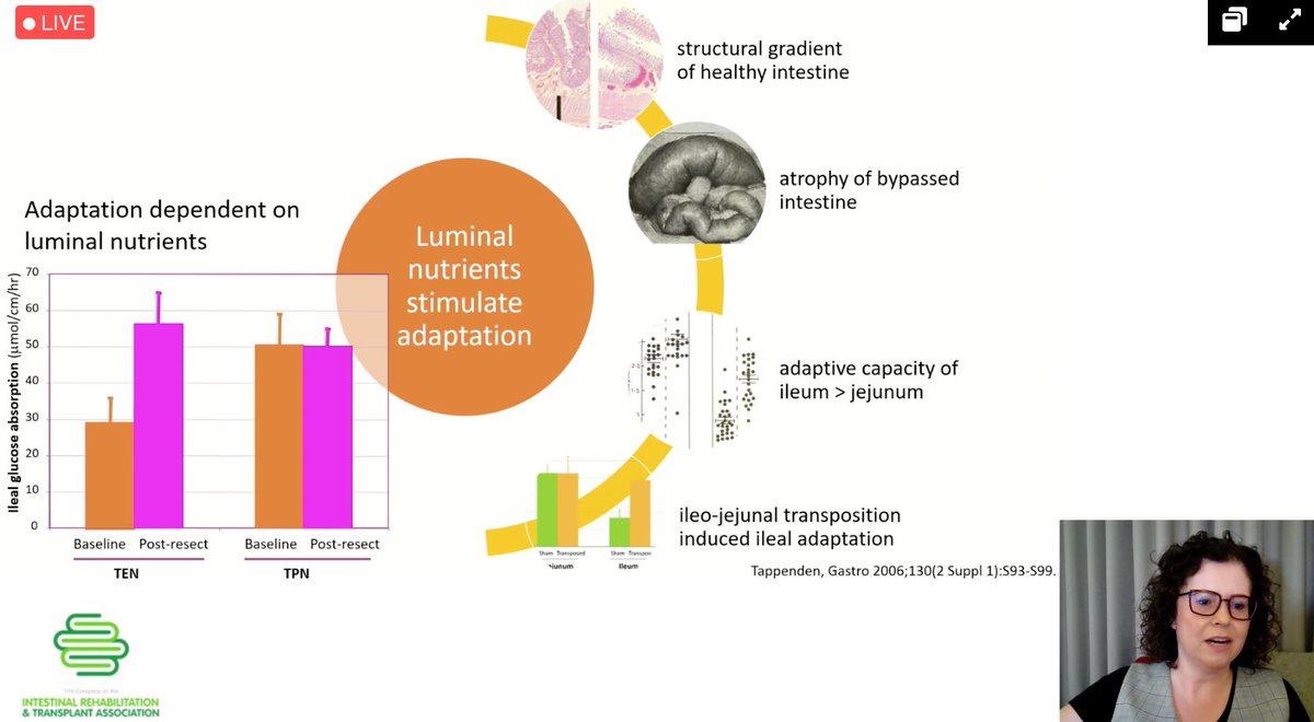 Emma Osland (@emosland) on Twitter photo Wow! What a start to the final day of <a href="/2021Cirta/">CIRTA 2021</a> - Kelly Tappenden on gut hormones and intestinal rehabilitation
The need to FEED THE GUT explained on a physiological basis par excellence!! Wow! What a start to the final day of <a href="/2021Cirta/">CIRTA 2021</a> - Kelly Tappenden on gut hormones and intestinal rehabilitation
The need to FEED THE GUT explained on a physiological basis par excellence!!