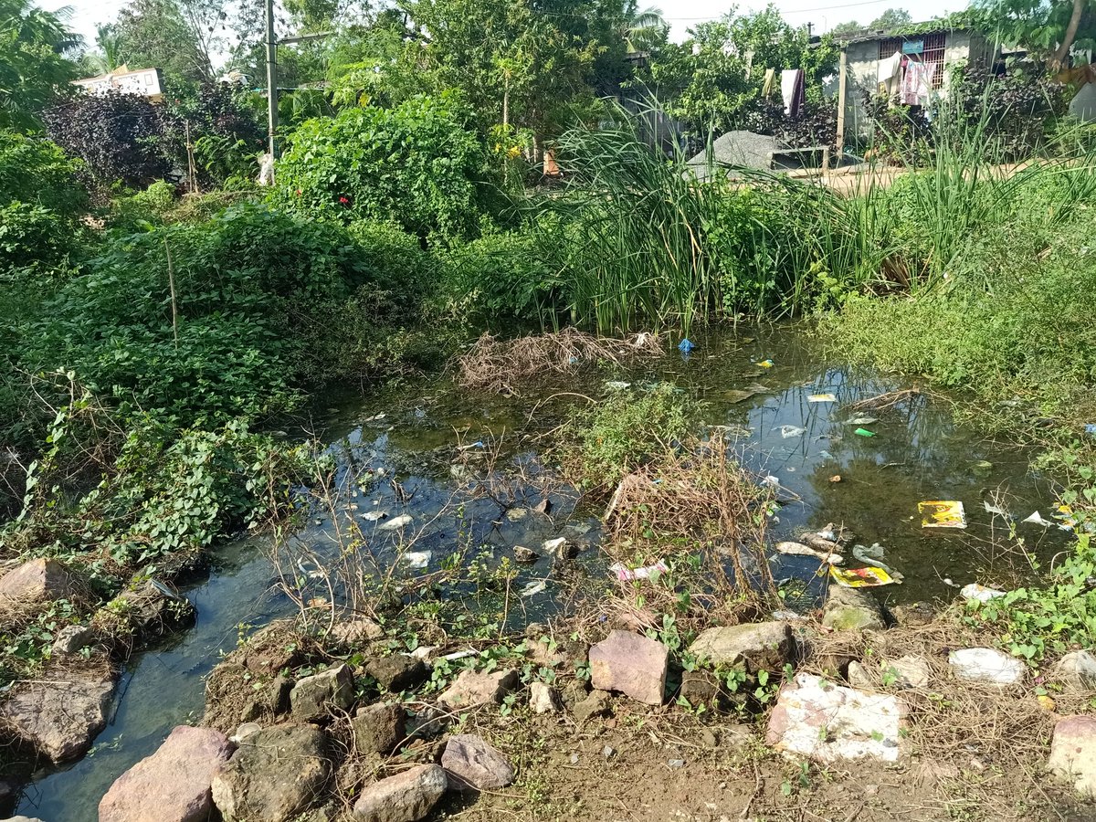 KoduruRecw's tweet photo. @tv9, @SakshiHDTV  @AndhraPradeshCM
@CollectorGuntr  కొలకలూరు జనావాసాల్లో కొన్ని ప్రాంతాల దుస్థితి. స్వచ్ఛసంకల్పం లో అయినా బాగుపడుతుందా. సరైన ప్రణాళిక చేసుకుంటే బాగుచేయొచ్చు https://t.co/sC67cX81UF