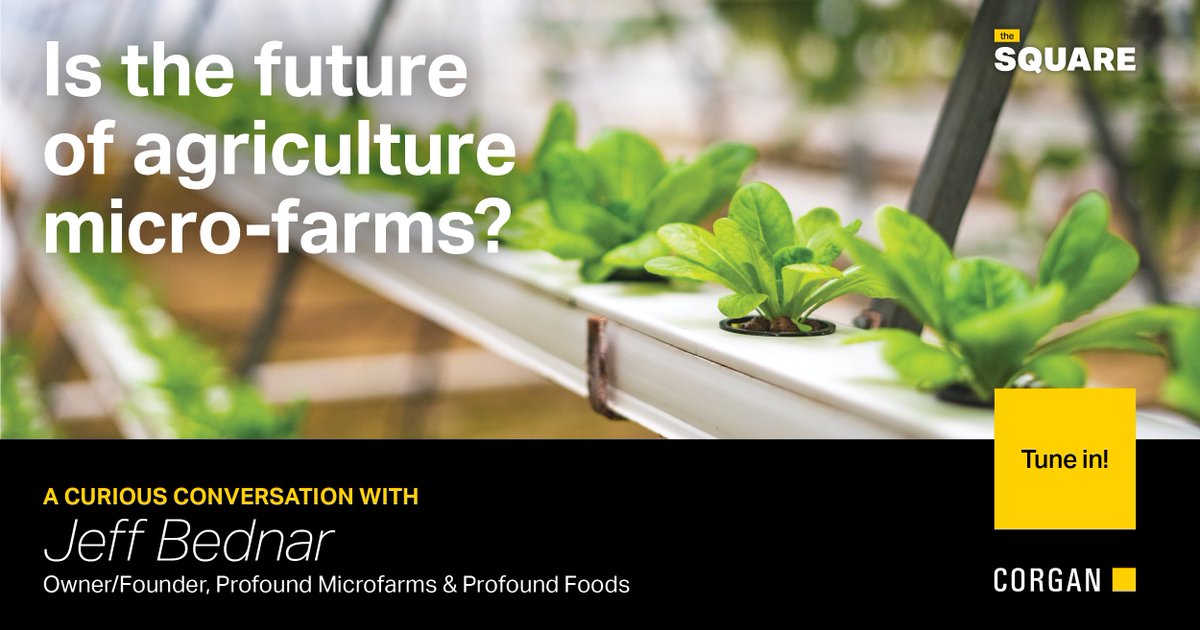 CorganInc's tweet photo. This week on #TheSquarePodcast, we have a #curiousconversation with Jeff Bednar, owner and founder of @ProfoundFarms, where he shares his journey from growing his own food to connecting with the local food community, restaurants, chefs, and more. https://t.co/H3H1gIHpnv https://t.co/LA0nZdIYkX