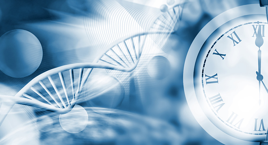 scrippsresearch's tweet photo. By showing that mutations in the #CircadianClock gene #CRY2 can block the tumor-suppressor #P53, Prof. Katja Lamia’s lab links disrupted biological rhythms to increased risk of #cancer https://t.co/9PtFHO5hcn @KatjaLamia @PNASNews #circadianrhythm https://t.co/6bkBeZFRqI