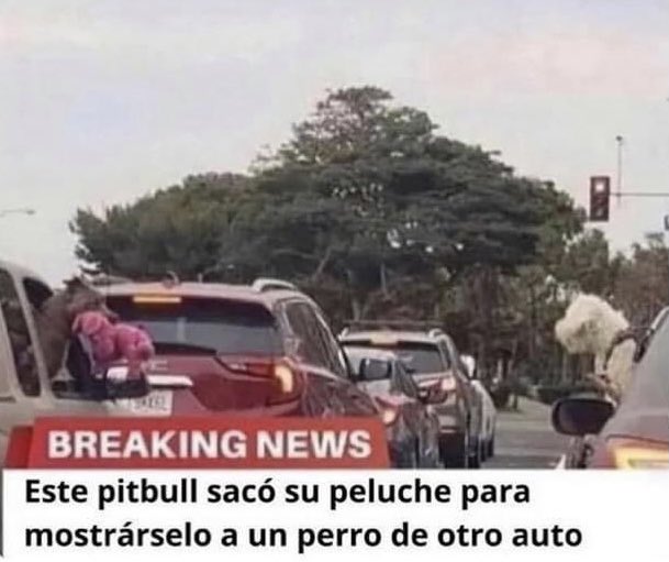 SuavesLomitos's tweet photo. El único tipo de noticias que me importan. https://t.co/WETCs9pXxt