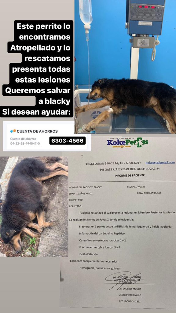 whosmdp's tweet photo. Ayuden con un RT plss https://t.co/R16p2ro2LW