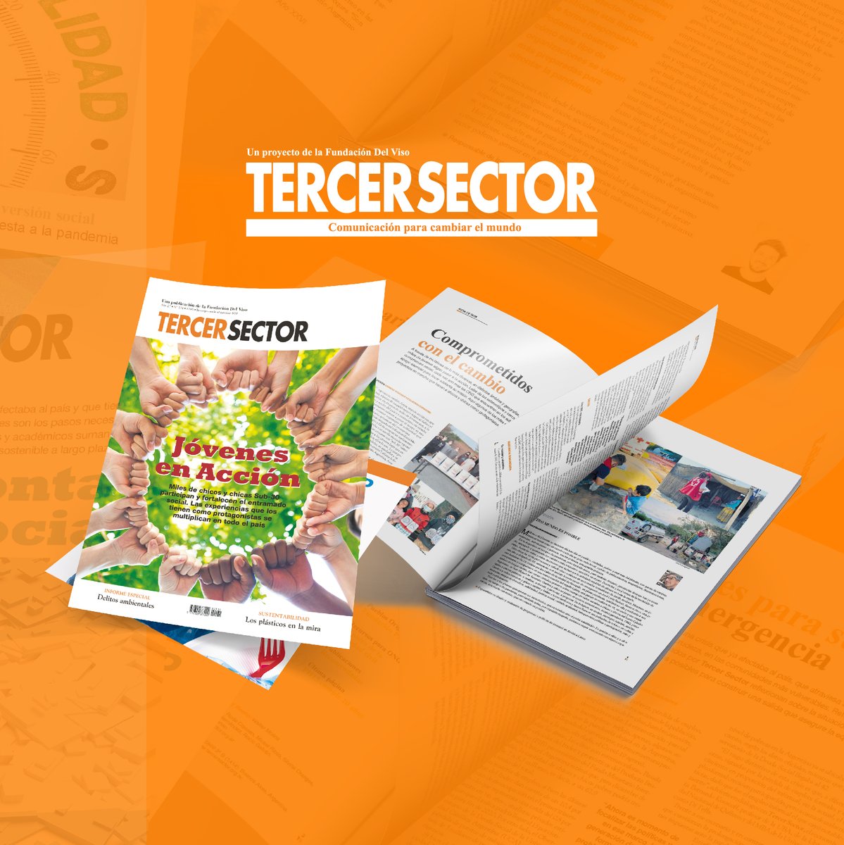 Revista Tercer Sector tweet media