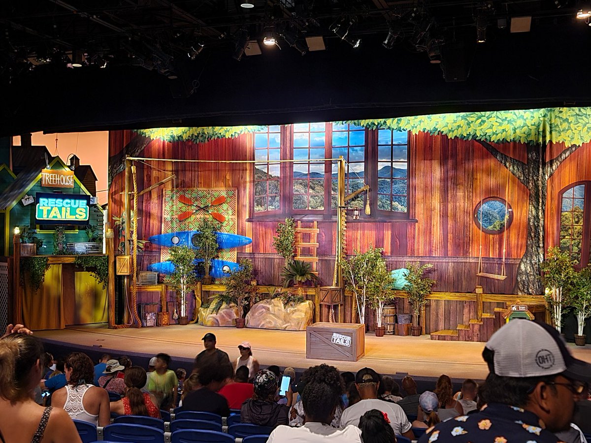FLivingVideos's tweet photo. We are at @SeaWorld checking out the new #RescueTails show! Have you seen it yet? 

#LoveFL #ExploreFlorida #SeaWorld #Vacation #LuxuryTravel @VisitOrlando https://t.co/DdjM3W58xB