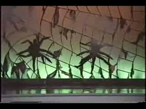 conconcool's tweet image. 🕷素晴らしい…でも蜘蛛が人間サイズなら我々が駆逐されてるとこだったw
🔎日本版ファーブル的存在の甲斐信枝さん、蜘蛛の本も、とっくに出版済だった🕸
✨足元に広がる神秘✨🐞bug's life…
🐭🏰初期のワンマンズドリームの蜘蛛の衣装、見る角度で色が変わる面白い生地で…脚含めて作ったんだった😅