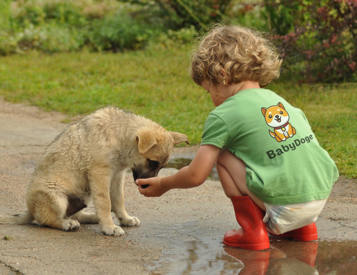 Cryptophilz's tweet photo. @babydoge  Rescue the dogs in need ...let all work together to save all dogs in need #babydoge #BabyDogeCoin  @elonmusk  @dogecoin @babydogemom @dogeofficialceo @Tesla @DogeCoinMilitia @dogewoman92 @ShibaArchives https://t.co/jPSqb5hfl9
