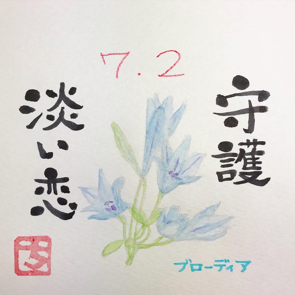 千花 誕生花アート 7月2日の誕生花は ブローディア Brodiaea トリテレイア Triteleia 花言葉は 守護 淡い恋 お誕生日おめでとうございます 誕生花 誕生日 Birthday Birthflower 己書もどき 筆文字 365days 花 Flower Flowers 花言葉