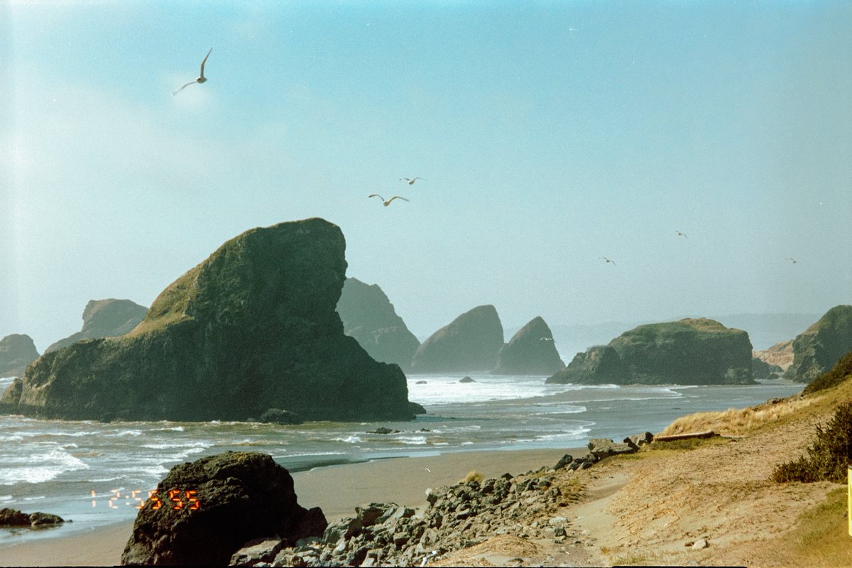 eamonsphotoss's tweet image. The Oregon Coast on 35mm