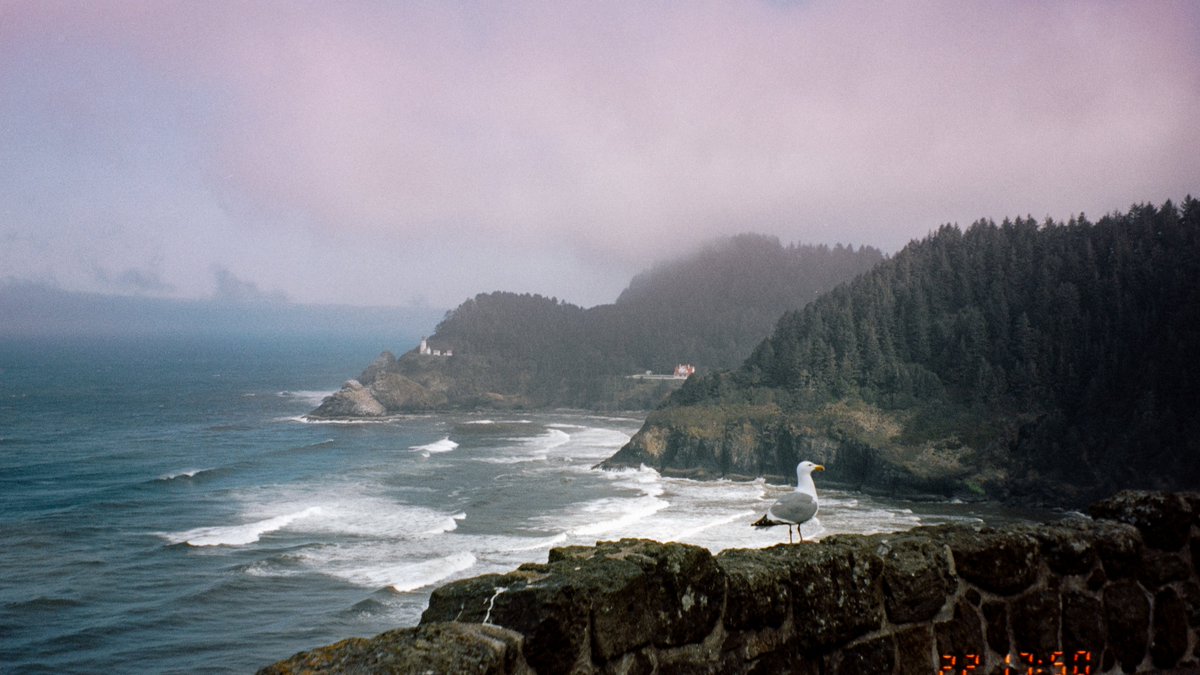 eamonsphotoss's tweet image. The Oregon Coast on 35mm