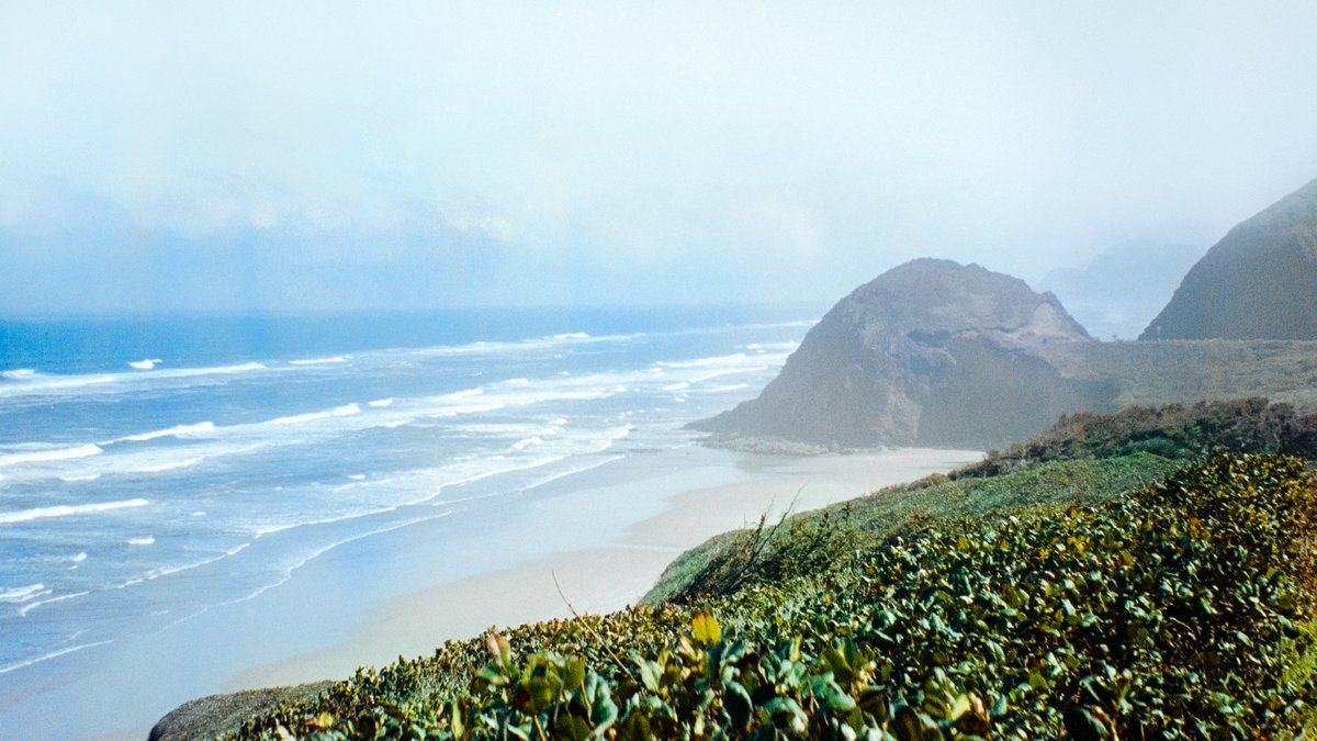 eamonsphotoss's tweet image. The Oregon Coast on 35mm