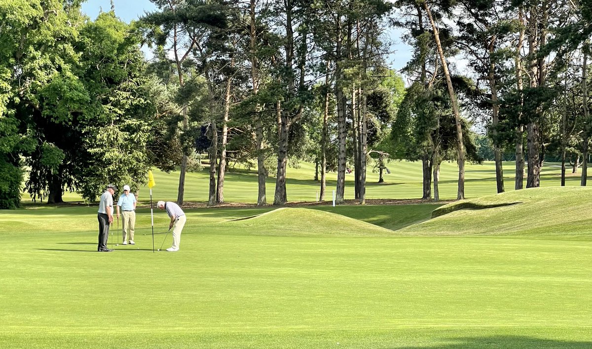 ⁦<a href="/NaasGC/">Naas Golf Club</a>⁩ looking simply stunning today - day 1 of 4 in Captains Prize 2020.