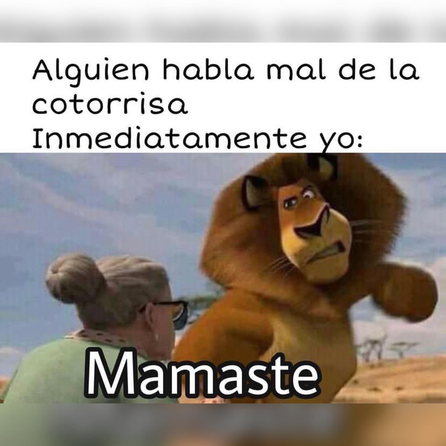 La Cotorrisa Fans 🦜 ️ on Twitter